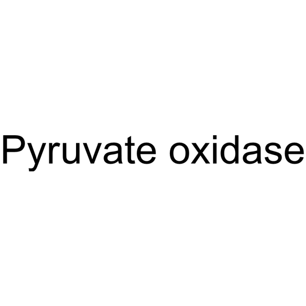 Pyruvate oxidase (PoxB) 9001-96-1